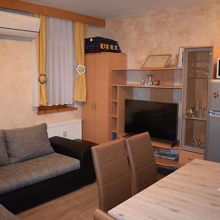 Apartment Borovnica Моравске-Топлице Екстериор снимка